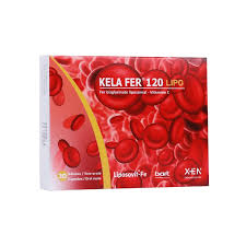 XEN KELA FER 120 LIPO 30 GELULES