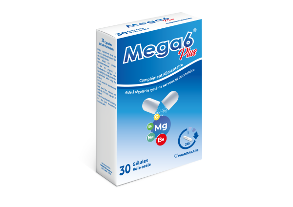 PHARMACARE MEGA 6 PLUS 30 COMPRIMES