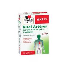 AKTIV Vital Artères 90 GELULES